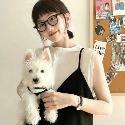 红雀特工